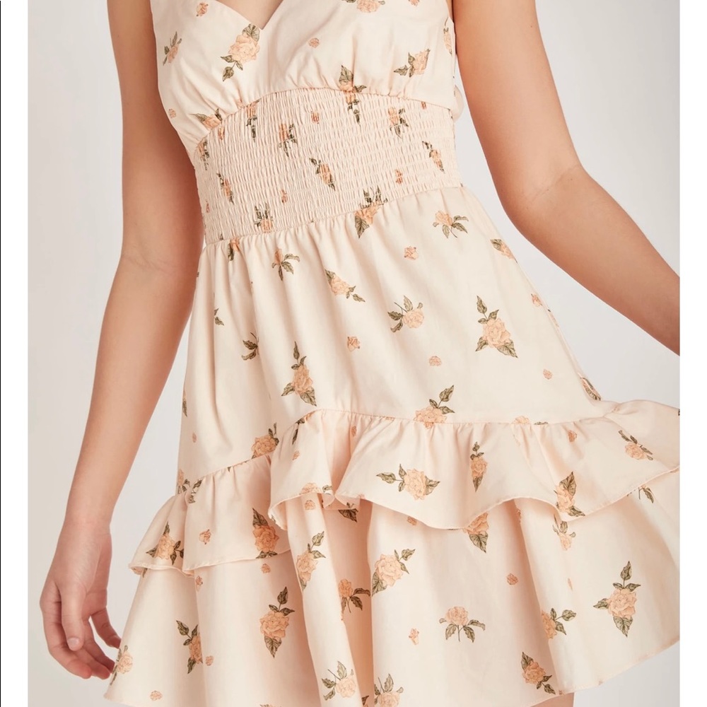 Backyard Roses Mia Dress - Picture 5 of 5